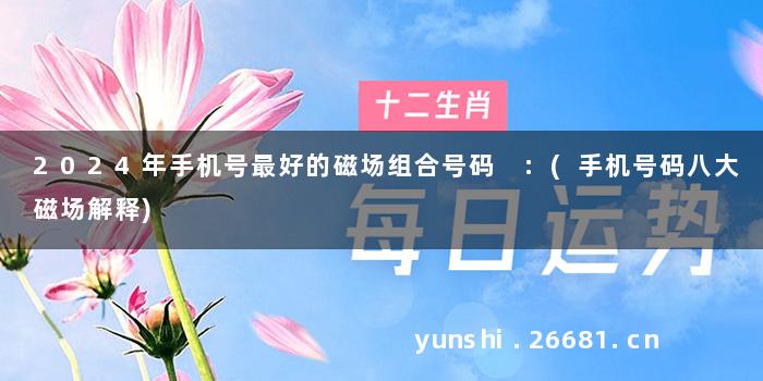 2024年手机号最好的磁场组合号码 :(手机号码八大磁场解释)